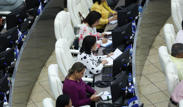Diputados elogian reforma constitucional y aprueban los dos primeros artículos