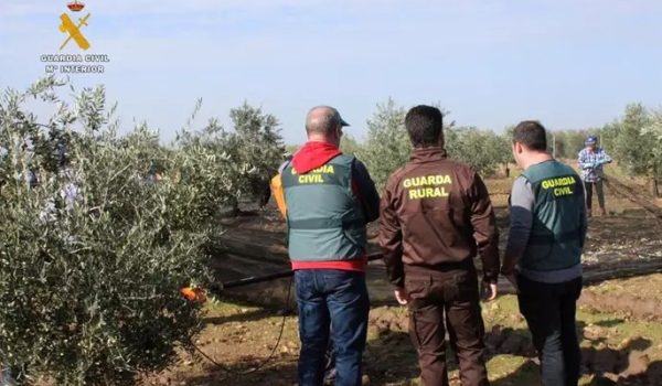 Detienen a dos nicaragüenses por explotar a inmigrantes en un centro de acogida en Sevilla