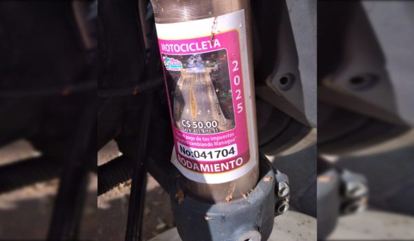 Fiscalía acusa a presuntos falsificadores de stickers de rodamiento en Managua