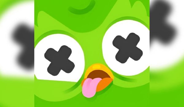 Duolingo anuncia la muerte de su mascota «Duo»