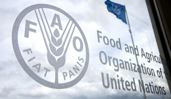 Qué pierde Nicaragua con la expulsión de la FAO