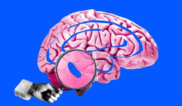 Cómo un pequeño «punto azul» en nuestro cerebro controla el sueño y genera un enorme interés entre los científicos