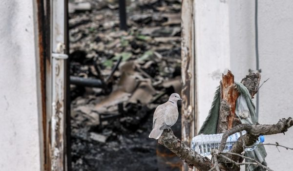 El club donde murieron 59 jóvenes en Macedonia no tenía salida de emergencia ni rociadores