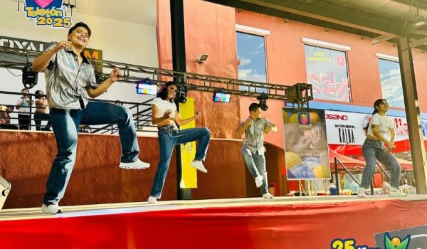 Suspenden colecta de Teletón por motivos de «fuerza mayor»