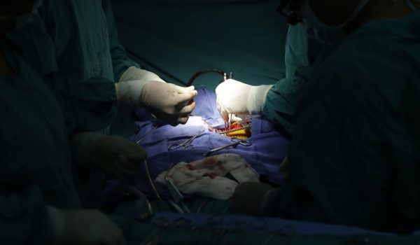 Un hígado de cerdo modificado genéticamente podría funcionar trasplantado en una persona