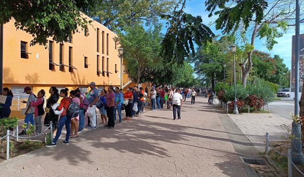 Estampida silenciosa: la fiebre por apostillar documentos en Nicaragua