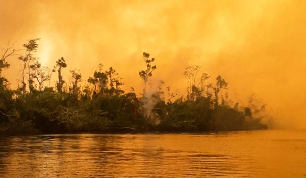 Indio Maíz y las llamas que incendiaron Nicaragua en 2018 