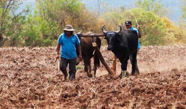 Temor entre los productores en el inicio del V Censo Nacional Agropecuario