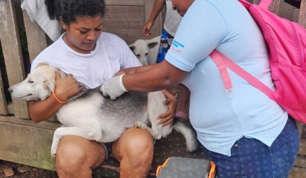 Casi 9 mil personas sufrieron lesiones causadas por animales transmisores de rabia en 2024