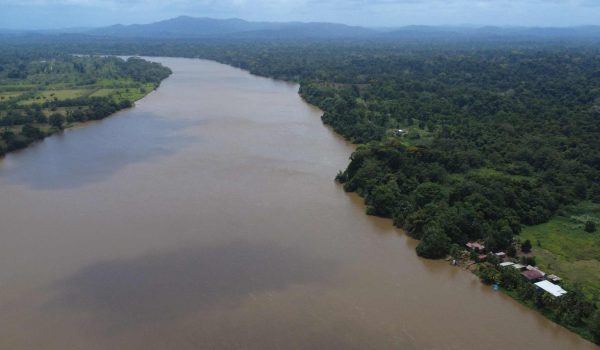 ONG ambientalista aboga por la liberación «inmediata» de guardabosques indígenas en Nicaragua