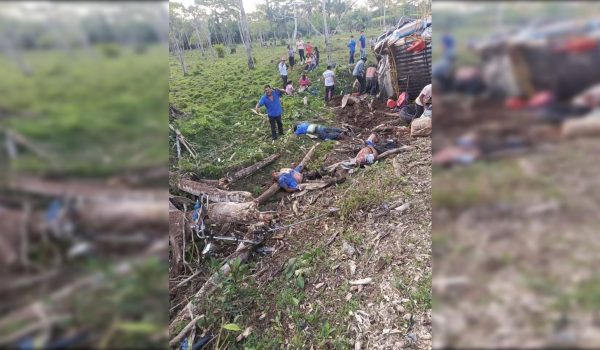Conductor de bus será acusado por homicidio imprudente
