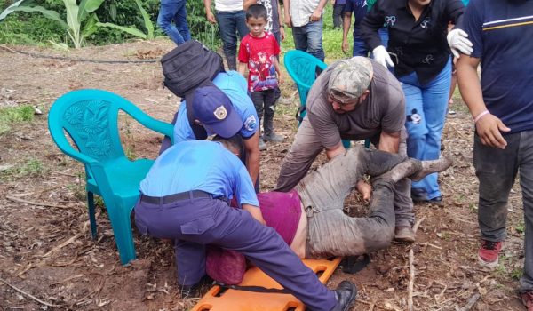 Cuatro muertos tras caer camión a un abismo en Rancho Grande
