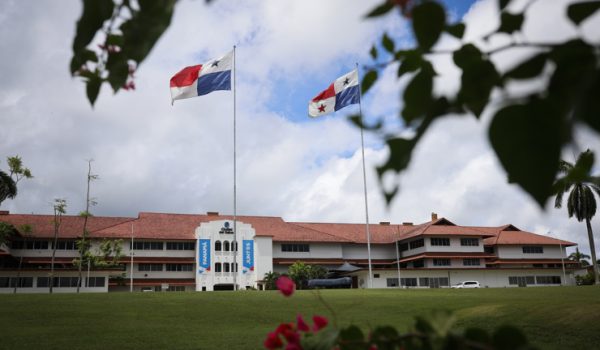 Tropas, espías y carne enlatada: cómo América Latina contribuyó a la victoria aliada
