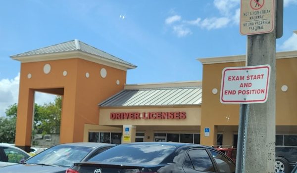 Florida | Si no tenés estatus permanente tenés que renovar tu licencia de conducir cada año 