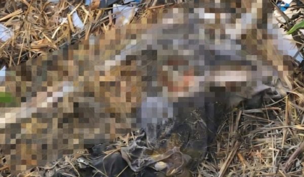 Hallan osamenta de mujer en un predio baldío en Managua