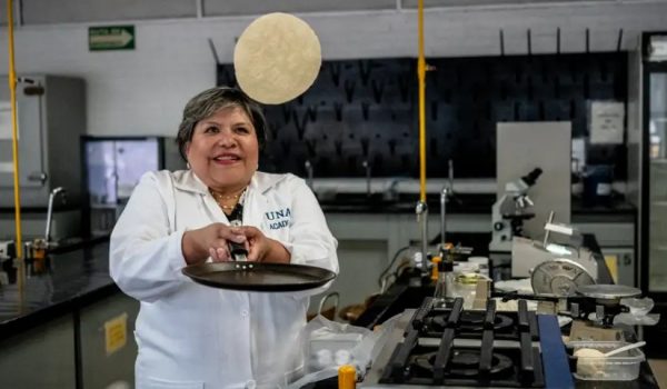 La científica Raquel Gómez examinó cultivos probióticos que revolucionaron la conservación de tortillas sin refrigeración.Imagen: Carl de Souza/AFP