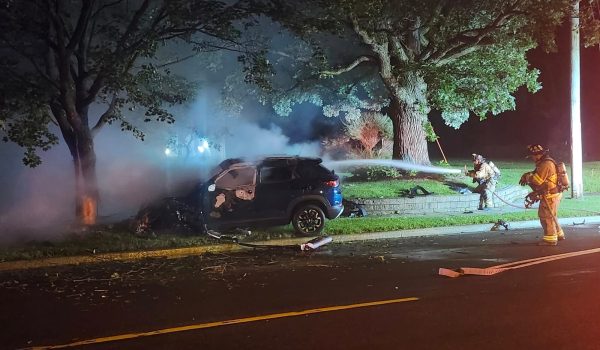 Nicaragüense muere al chocar contra un árbol, en Wisconsin