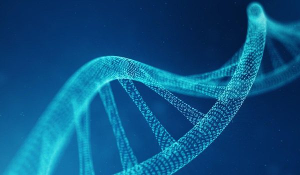 Cómo es el proyecto que busca crear ADN humano artificial (y cuáles son sus peligros)