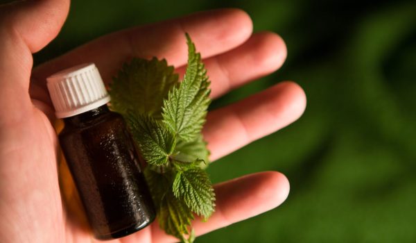 ¿Qué se sabe de la regulación que el Minsa hará a la medicina natural?