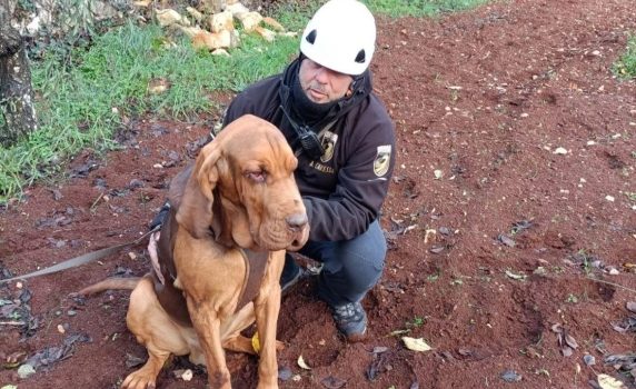 Matan a Bruno, un perro de rescate en Italia, con comida llena de clavos