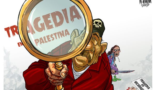 Caricatura 25-07-2025 / Dictadura busca foco mundial a costa de tragedia en Palestina