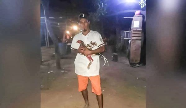 Policía busca a gallero sospechoso de querer quemar viva a su novia en Telica, León