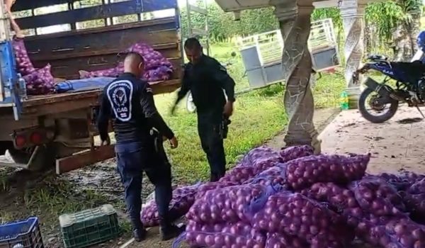 Fuerza Pública de Costa Rica decomisa 12 toneladas de cebolla y 40 kilos de queso provenientes de Nicaragua