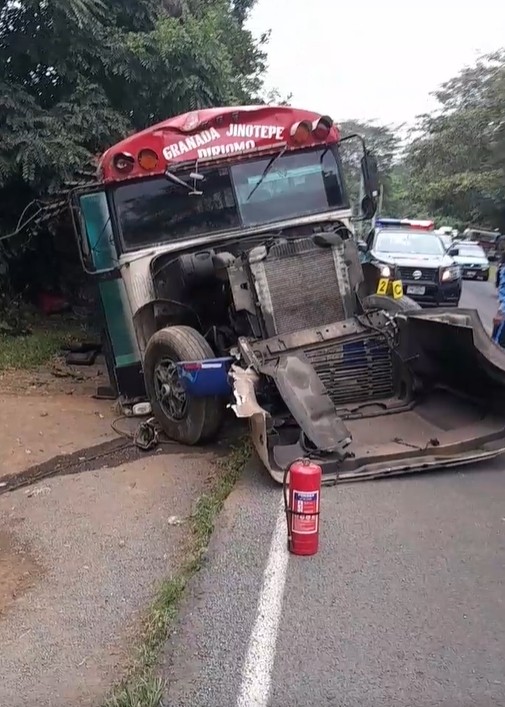 Accidente de tránsito en el que un bus chocó contra un árbol. Foto: Facebook/La Primerísima