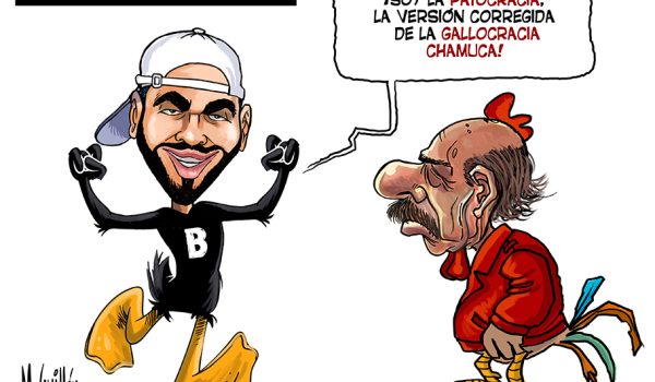 Caricatura 13-08-2025 / El  Patócrata discípulo del gallo chamuco