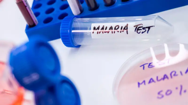 Tubo de ensayo con prueba de malaria