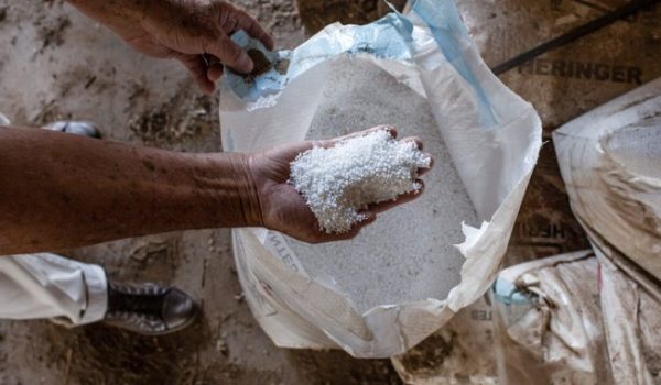 Drástica caída en la importación de urea revela la incertidumbre que viven los productores en Nicaragua