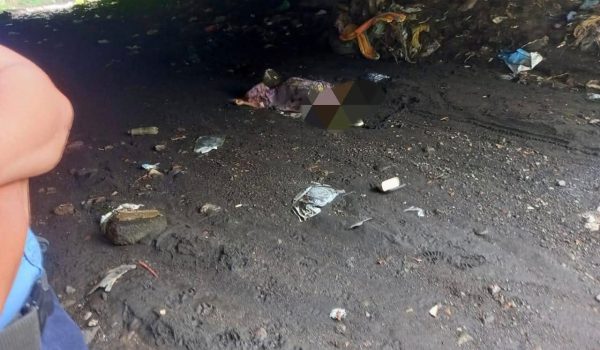 Fiscalía confirma que adolescente asesinó a mujer dejándole caer un adoquín en la cabeza