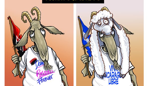 Caricatura 26/09/25 / Rebaños cruzados