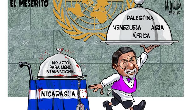 Caricatura 30-09-2025 / Un meserito en las Naciones Unidas