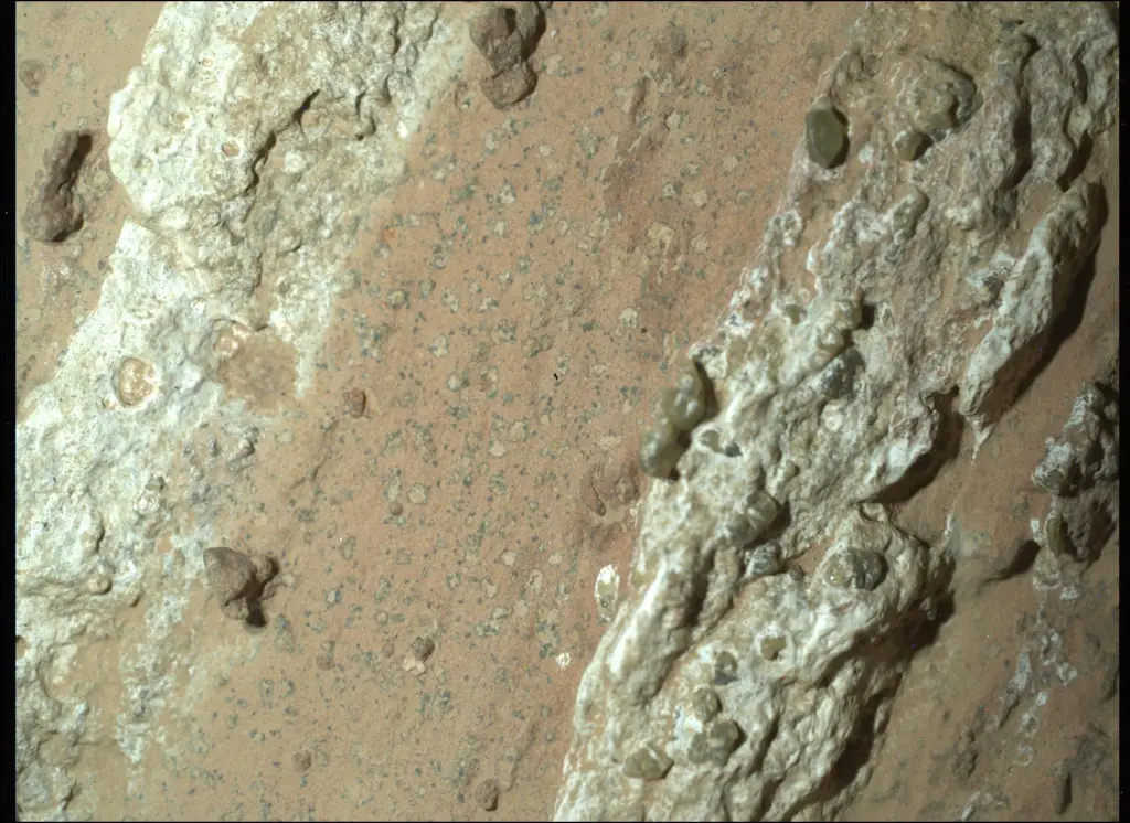 Fotografía tomada de Marte que muestra cómo una roca tenía posibles señales de vida. Foto: NASA