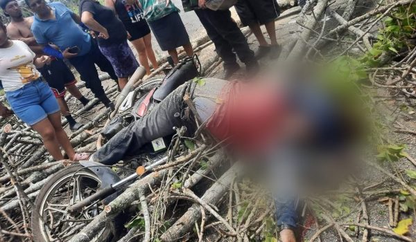 Motociclista fallece tras caerle encima las ramas de un árbol