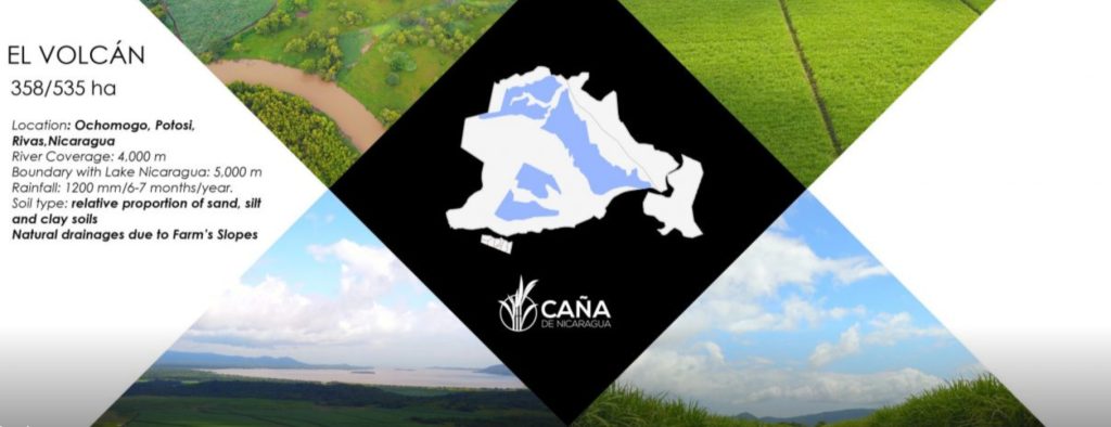 Caña de Nicaragua S.A creada por Baltodano Monroy