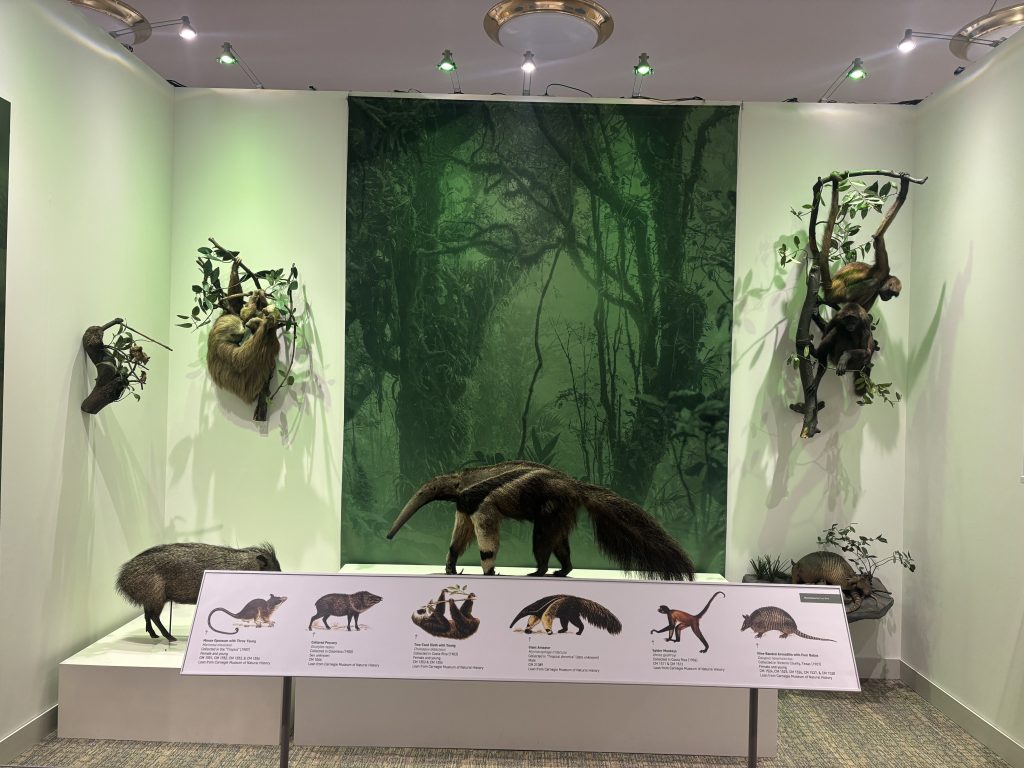 La exposición de Costa Rica en Pittsburgh dedica un espacio especial a la conservación de la flora y fauna, una de las mayores fuentes del orgullo nacional de este país. LA PRENSA/CORTESIA.