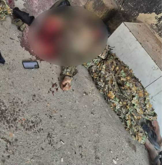 La musa del crimen, Brasil 