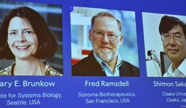 Nobel de Medicina 2025 a avances sobre el sistema inmune