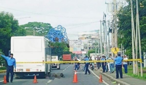 Hombre fallece tras ser arrollado por ruta 266 en Carretera Norte