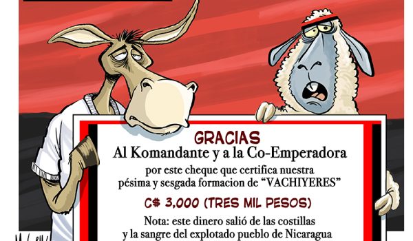 Caricatura 29-11-2025 / El «bono» a los Bachilleres