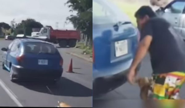 Difunden video de un perro amarrado y siendo arrastrado por un carro en Managua