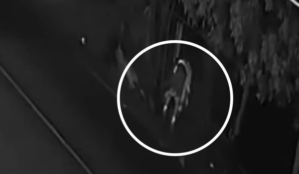 Un hombre desentierra a su hijo en el cementerio de Pantasma