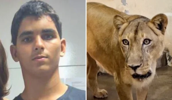 Gerson de Melo Machado murió tras ingresar en el recinto de los leones en un parpque natural de Brasil.