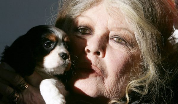 Brigitte Bardot sobre los musulmanes, los hombres y la «horrible» humanidad
