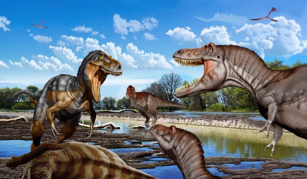 El Nanotyrannus fue una especie distinta de dinosaurio, no un T.rex adolescente