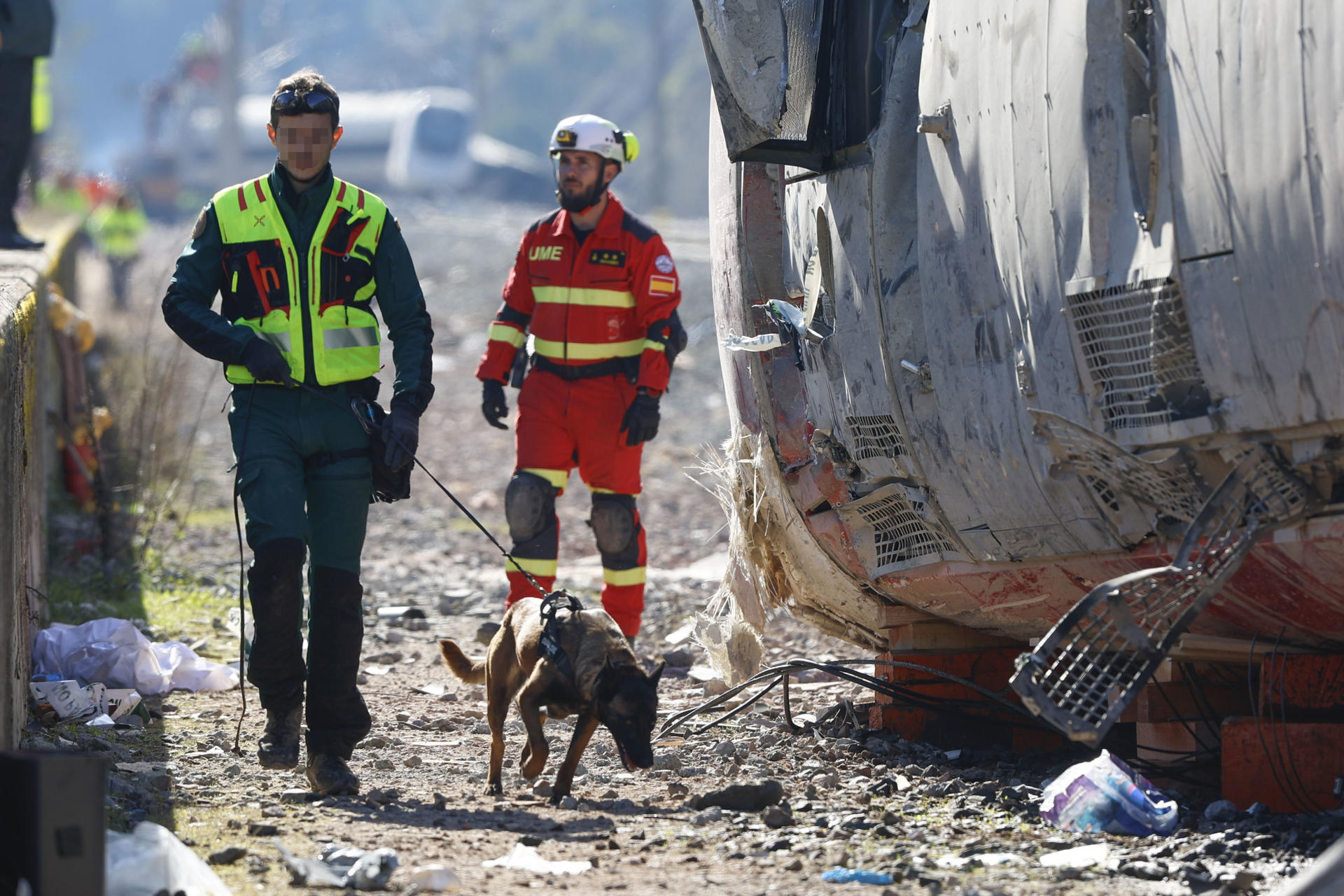Un agente de la Guardia Civil rastrea con un perro los vagones siniestrados del accidente ferroviario en Adamuz (Córdoba) del pasado domingo que ha dejado al menos hasta este martes 41 víctimas mortales. EFE/Jorge Zapata