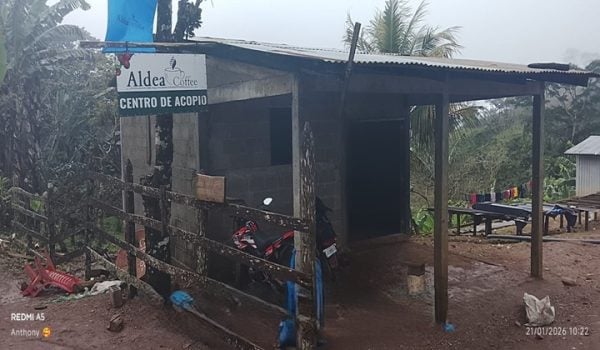Roban más de 300 mil córdobas en acopio de café en Jinotega