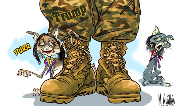 Caricatura 10/01/2026  «Pragmatismo» felino